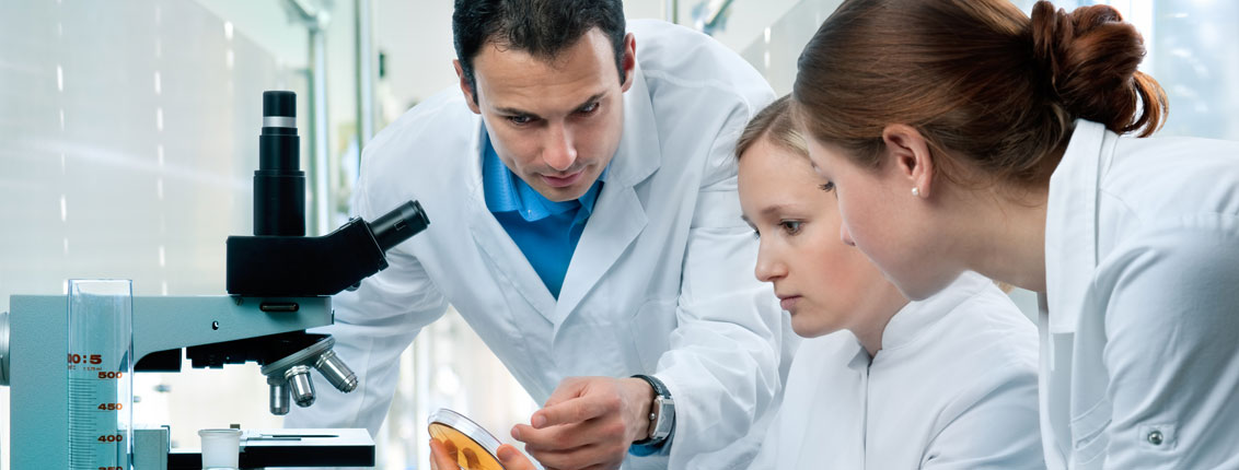 Wöllner PEC - Service