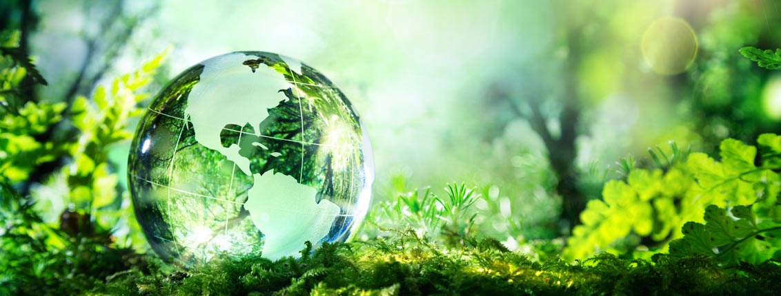 Wöllner - Nachhaltiges Handeln