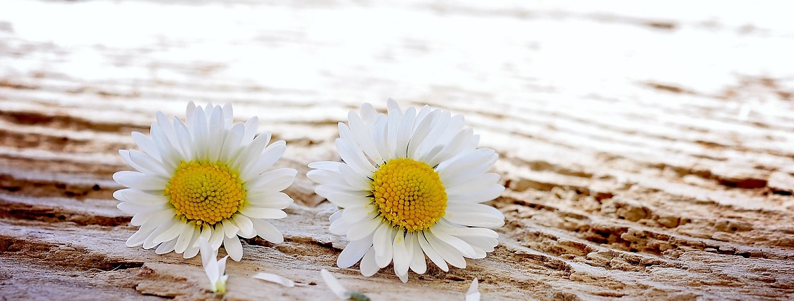 Wasserglas für die Holzstoffbleiche